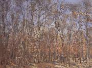Ferdinand Hodler The Beech Forest (nn02) oil on canvas